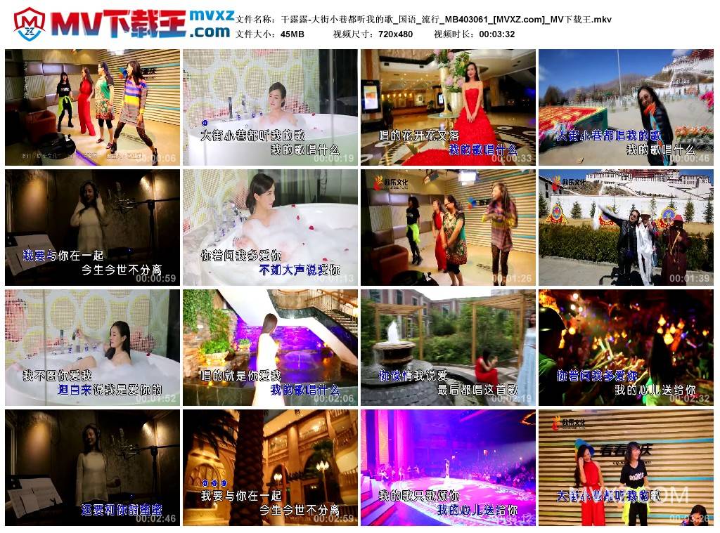 干露露-大街小巷都听我的歌_国语_流行_MB403061